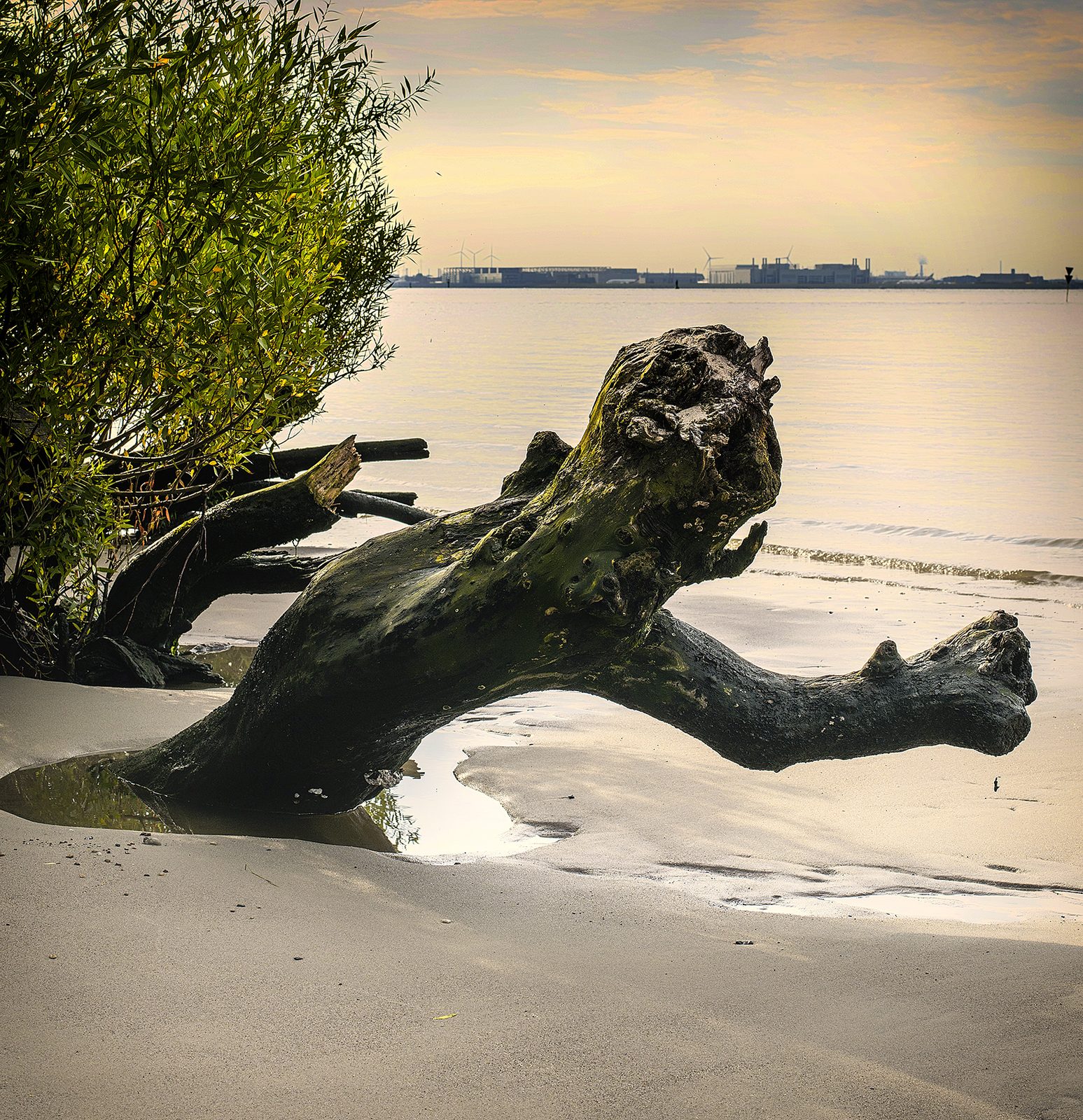Einzigartige Stücke gedruckter Kunst auf Holz