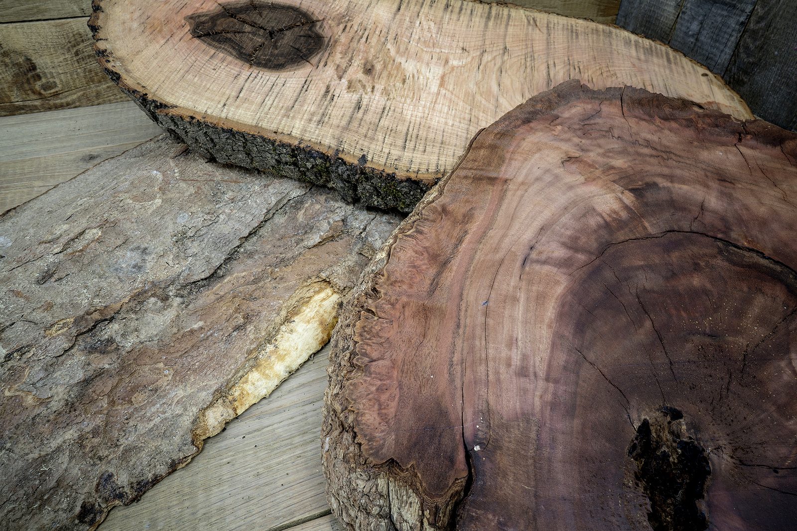 Jedes Holzstück erzählt uns seine ganz eigene Geschichte