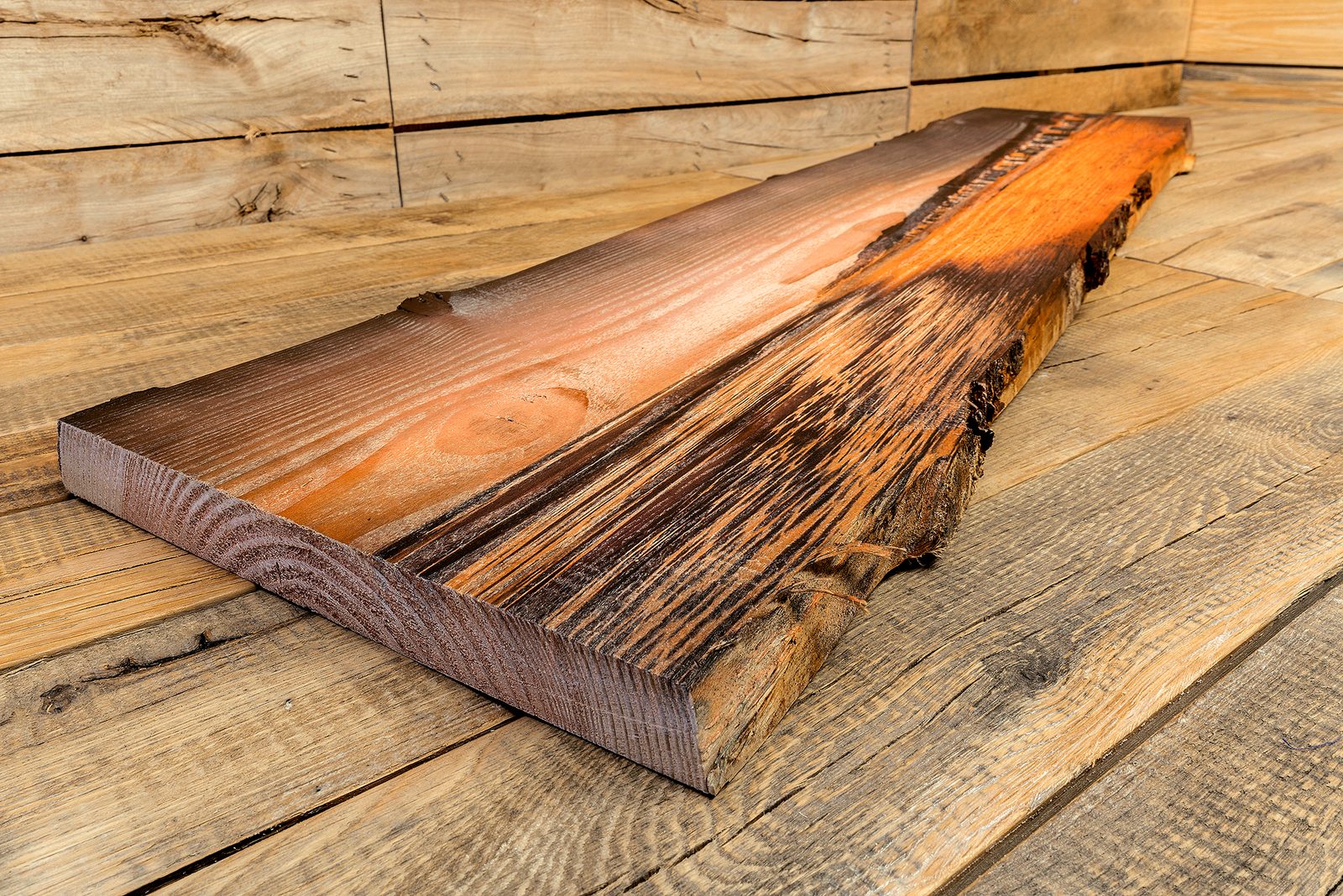 Holzdruck: Baumscheibe mit Rinde von Hand geweißt Holzdruck Strand vintage